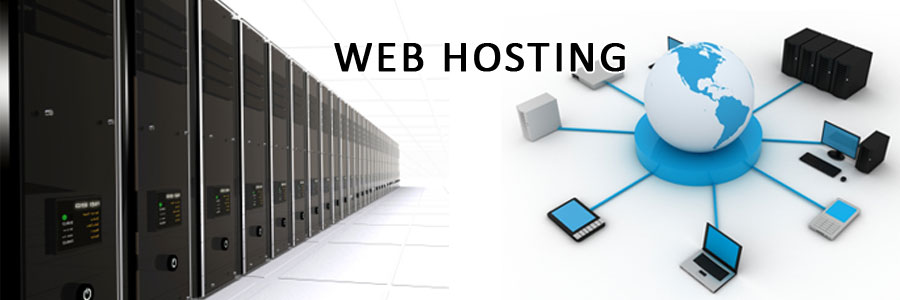 webhosting1