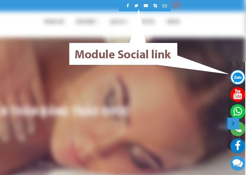 Hình 2: Module I.5 (Liên kết mạng xã hội): Hình hiển thị các vị trí liên kết mạng xã hội (social)
